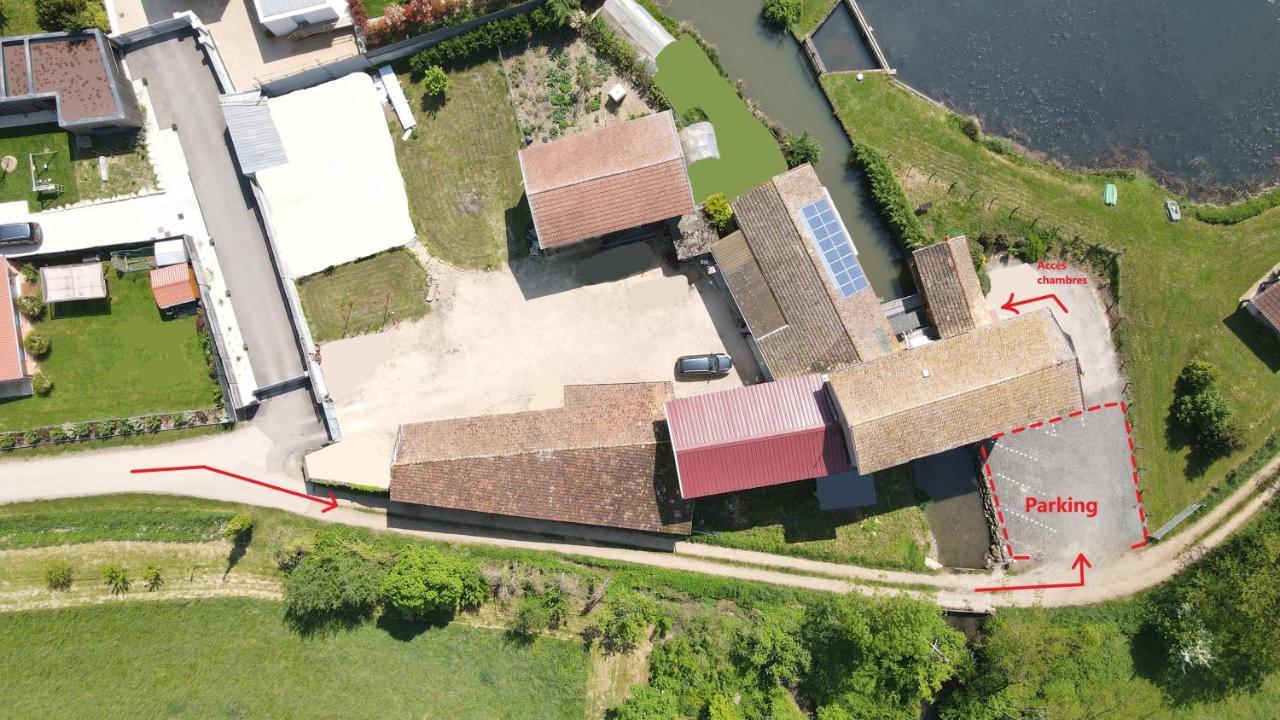 Le Moulin Traffay Casa de hóspedes Saint-Didier-sur-Chalaronne Exterior foto