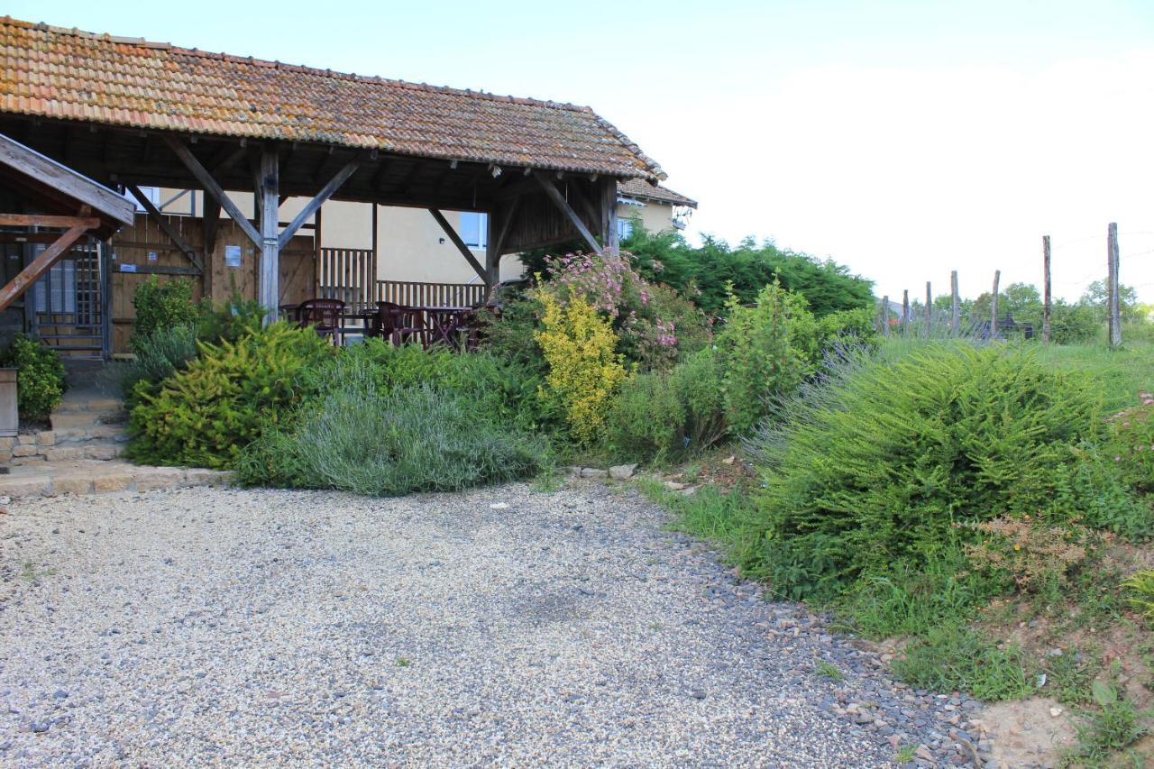 Le Moulin Traffay Casa de hóspedes Saint-Didier-sur-Chalaronne Exterior foto